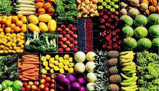 صادرات میوه و سبزیجات کشور ایتالیا در سال 2022 به بیش از 10 میلیارد یورو رسید